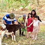 Surya Shibir Resort